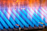 Mainholm gas fired boilers